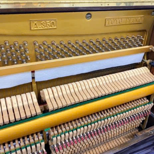 Apollo A350 Mohogany