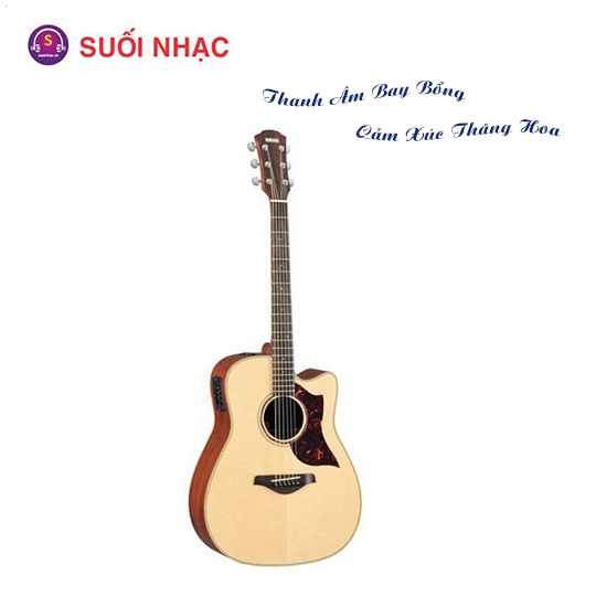 Guitar A3M ARE