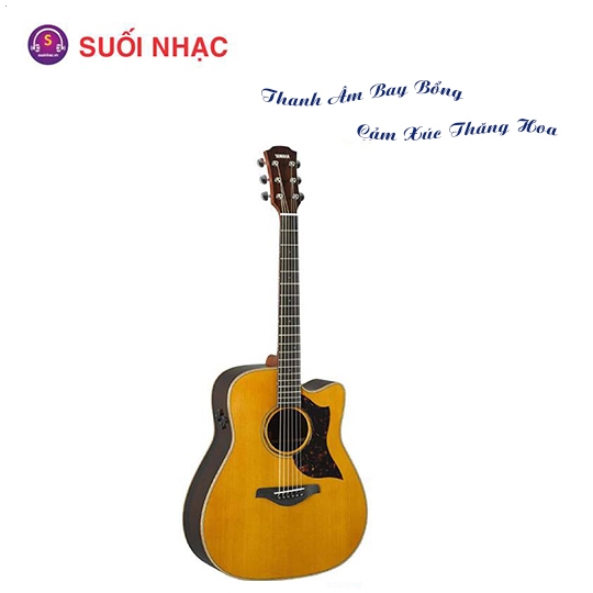 Guitar A3R ARE