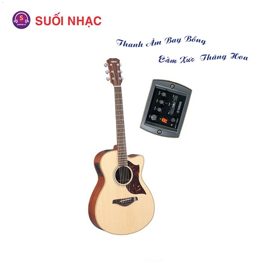 Guitar AC1M