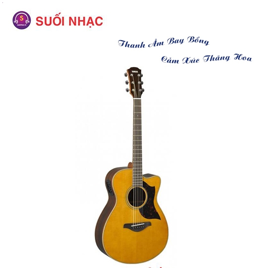 Guitar AC3M