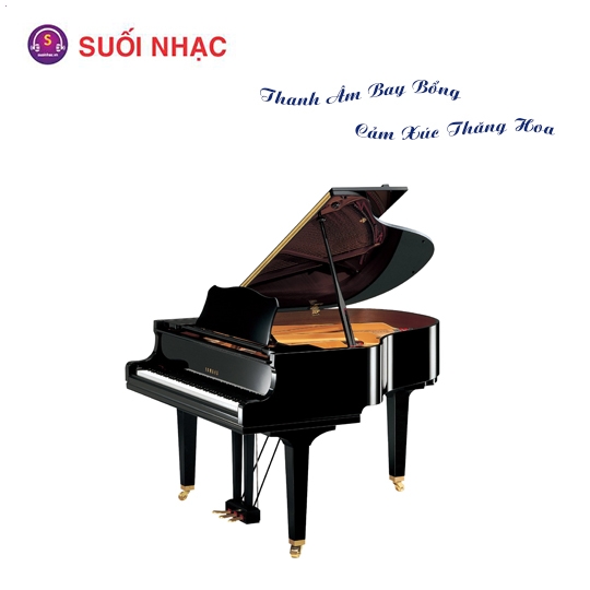 Grand Piano Yamaha GC1-PE