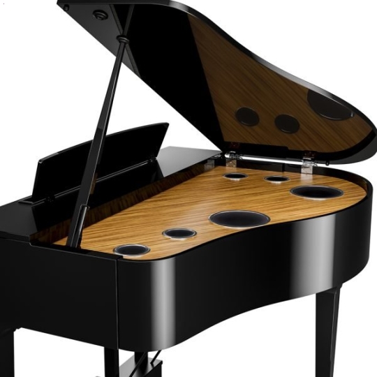 Piano Điện Yamaha CLP-895GP + BENCH + PA 500