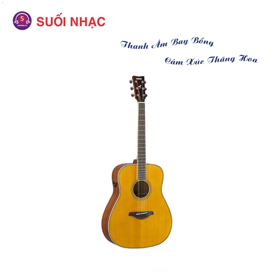Guitar FG-TA Vintage Tint