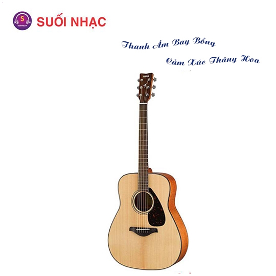 Guitar FG800 NT