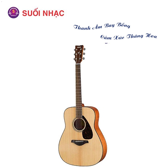 Guitar FG800M