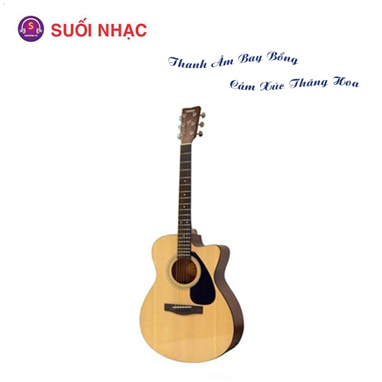 Guitar FS100C NT