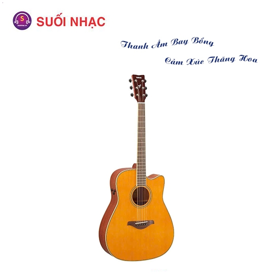 Guitar FGC-TA VT/BS/B