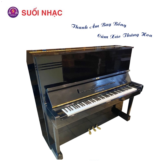 Piano Eastein Black