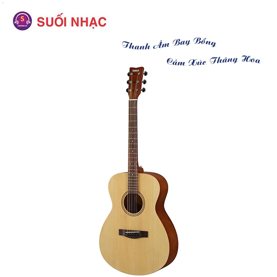 Guitar FS400 Natural/ Black