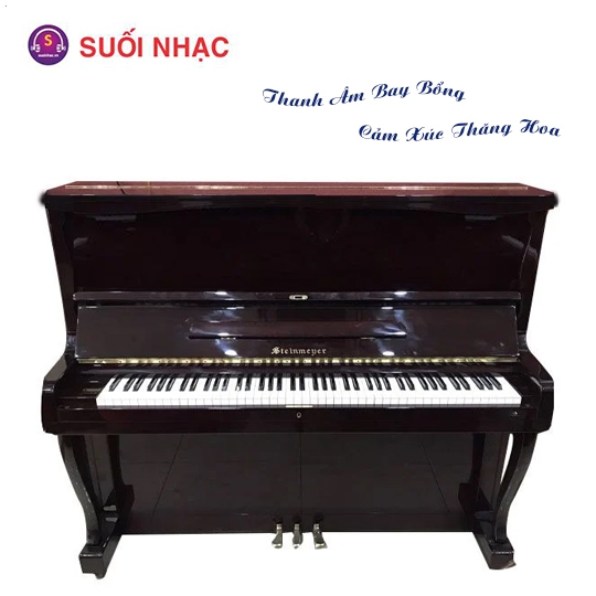 Piano Steinmeyer TS200 Black