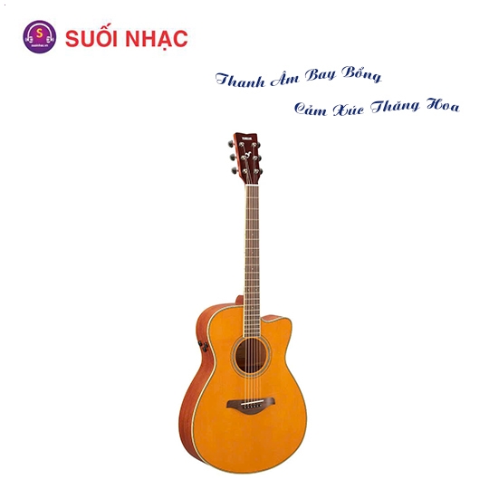 Guitar FSC-TA VT/BS/RR