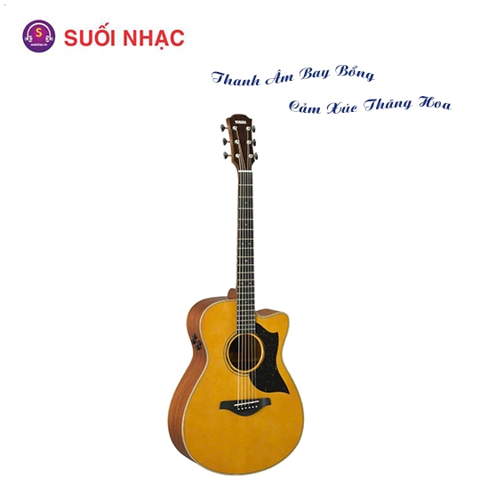 Guitar Yamaha AC5M ARE