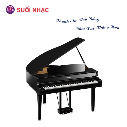 Piano Điện Yamaha CLP-895GP + BENCH + PA 500