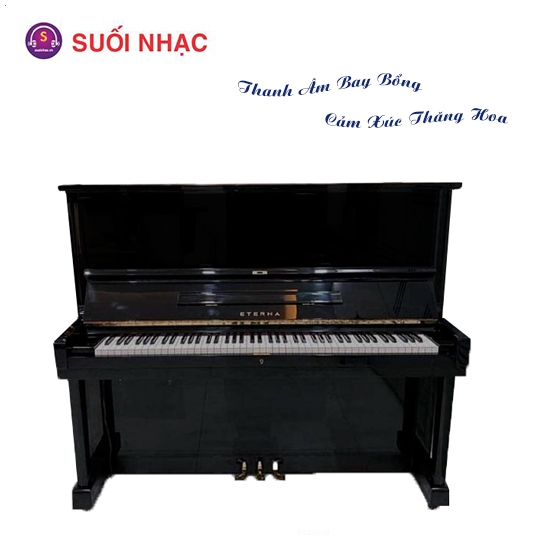 Piano ETERNA 35