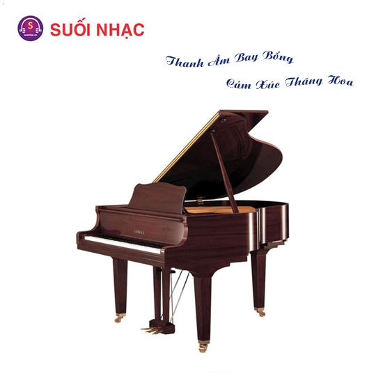 Grand Piano Yamaha GC2-PM/ PWH