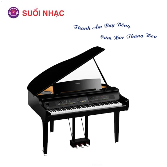 Piano điện Yamaha CVP-809GP + Bench