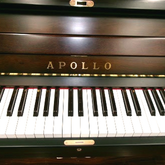 Paino Apolo SR65 Walnut