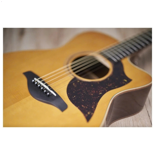 Guitar Yamaha A5M ARE