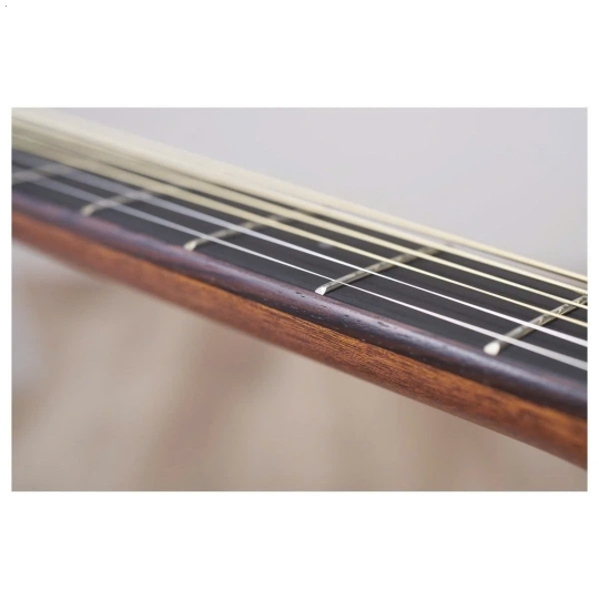Guitar Yamaha AC5M ARE