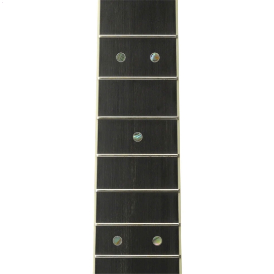 Guitar LL16 ARE