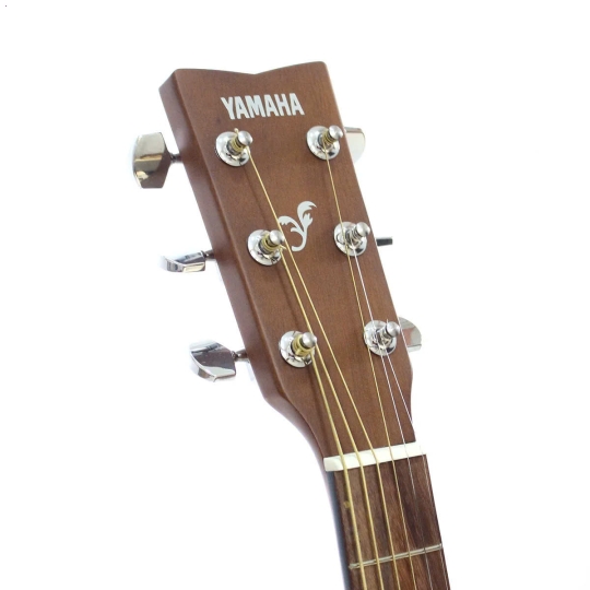 Guitar FS100C Natural/ Black