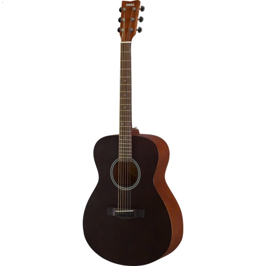 Guitar  FS400 Natural/ Black